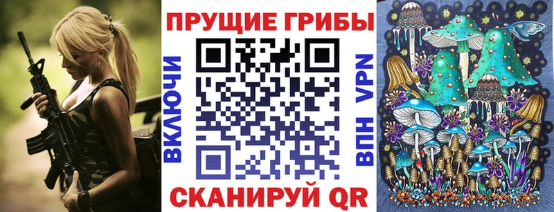 где продают   Дзержинск  Псилоцибиновые грибы MAGIC MUSHROOMS 