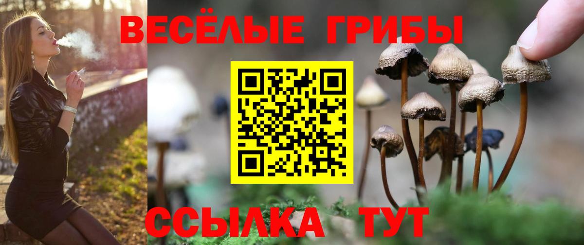 Дзержинск  Псилоцибиновые грибы Magic Shrooms  Псилоцибиновые грибы GOLDEN TEACHER  Вход с VPN 