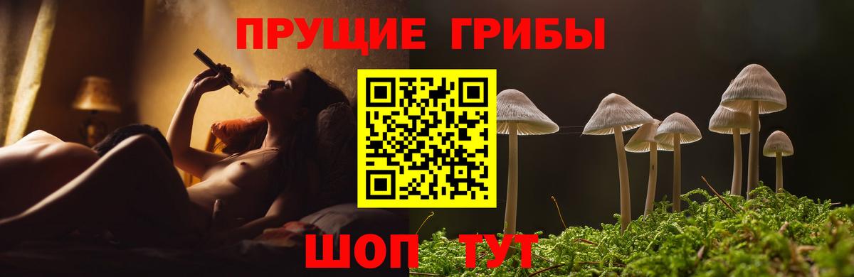 Псилоцибиновые грибы MAGIC MUSHROOMS Дзержинск